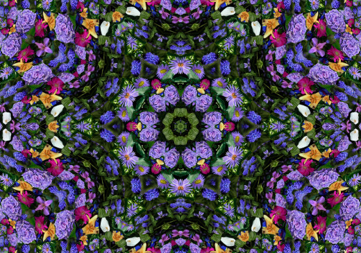 698311 (a): :2174x1522